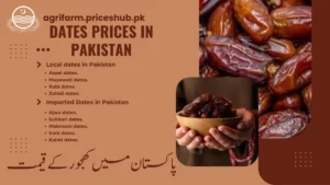 Today’s Dates(Khjoor) Price in Pakistan