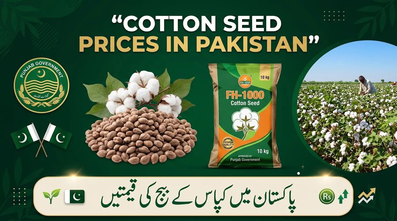 Cotton Seed Prices In Pakistan