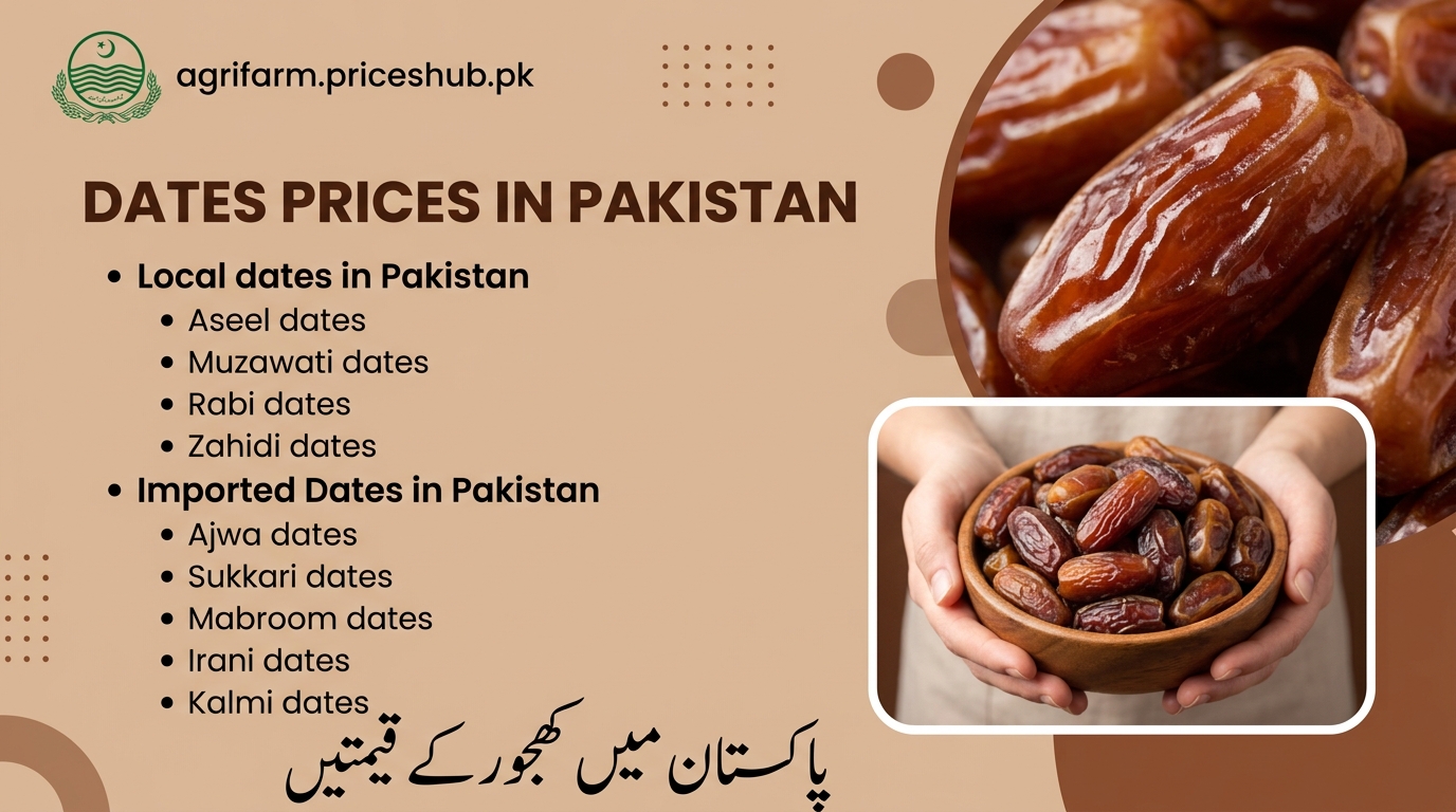 Dates Prices In Pakistan