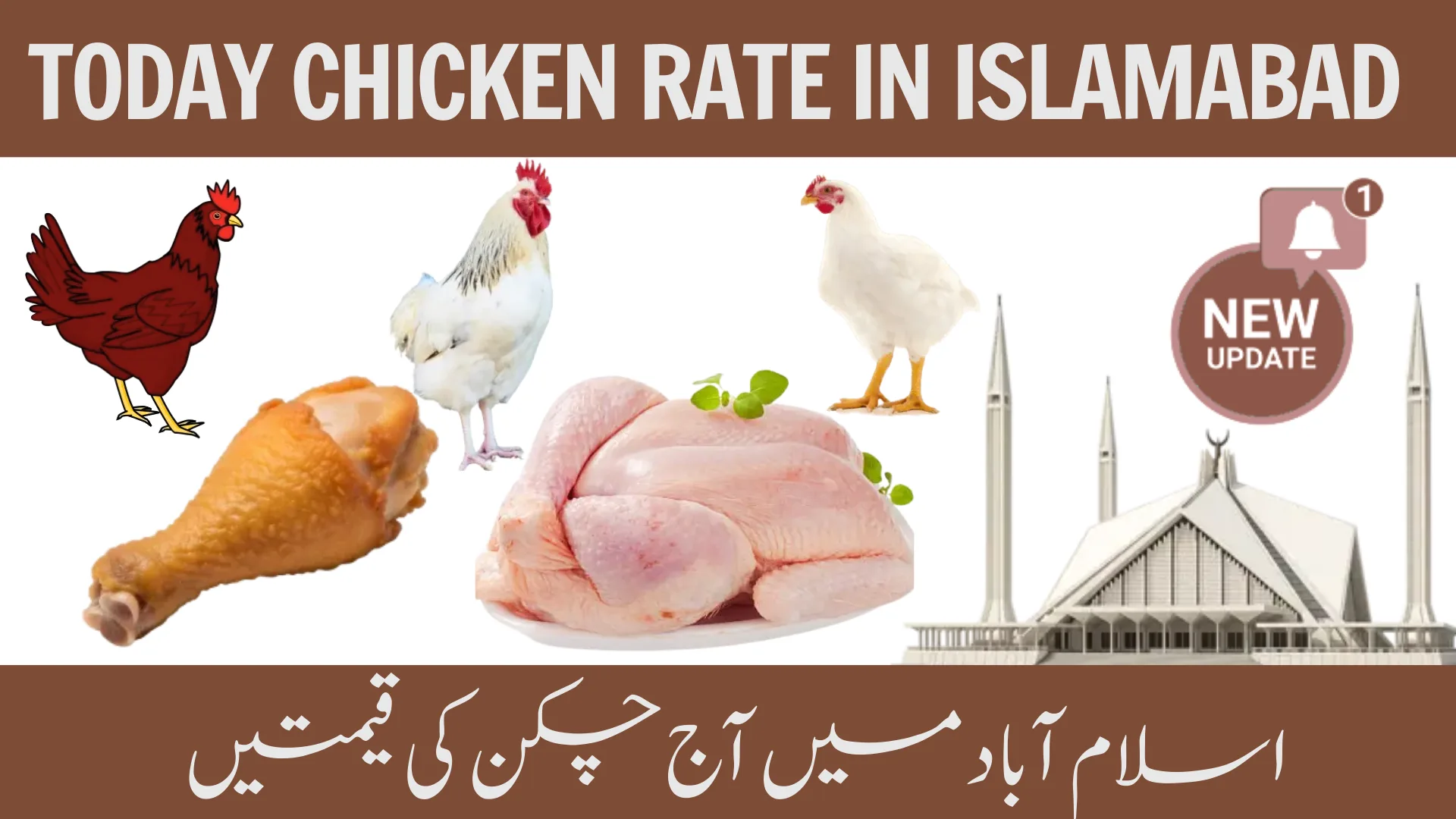 Today Chicken Rate in Islamabad