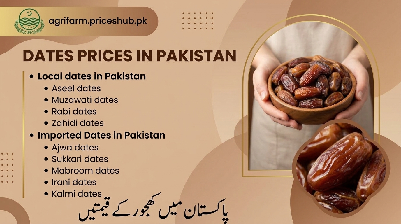 Dates Prices In Pakistan