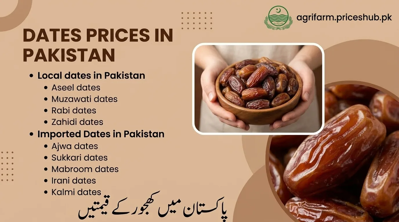 Dates Prices In Pakistan